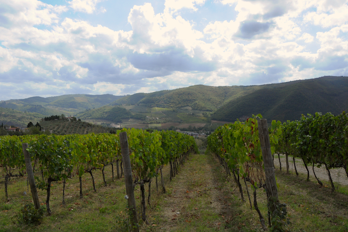 Bij I Veroni agriturismo